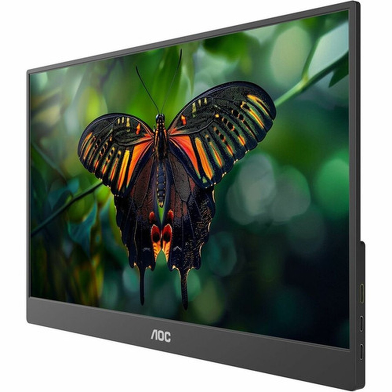 AOC 16T10 16 40640 mm Class Full HD LCD Monitor - 169 - Black - 156 39624 mm Viewable - In-plane Switching IPS Technology 16T10