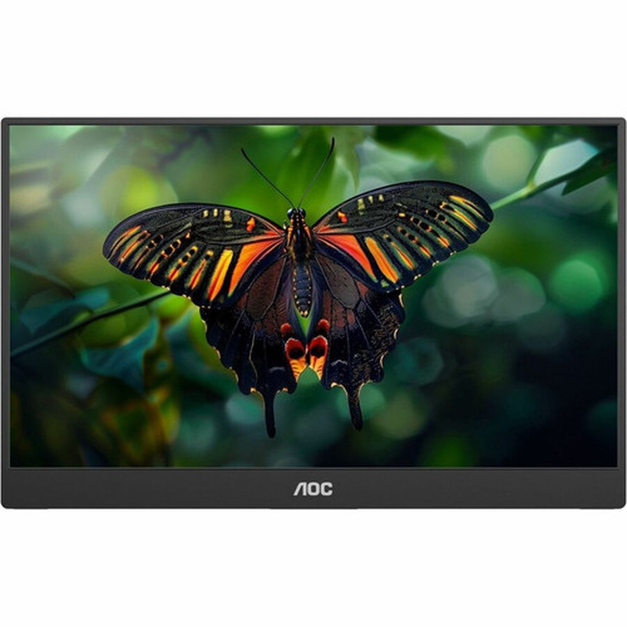 AOC 16T10 16 40640 mm Class Full HD LCD Monitor - 169 - Black - 156 39624 mm Viewable - In-plane Switching IPS Technology 16T10