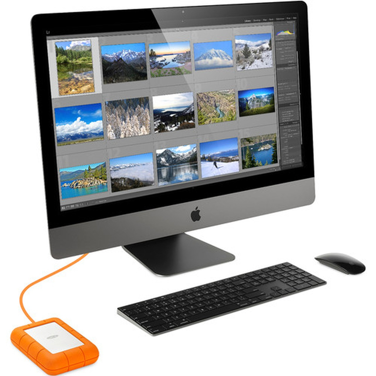 LaCie Rugged RAID Pro 4TB - 2 x HDD Supported - 4 TB Installed HDD Capacity - RAID Supported - 0 1 RAID Levels - 2 x Total Bays - STGW4000800