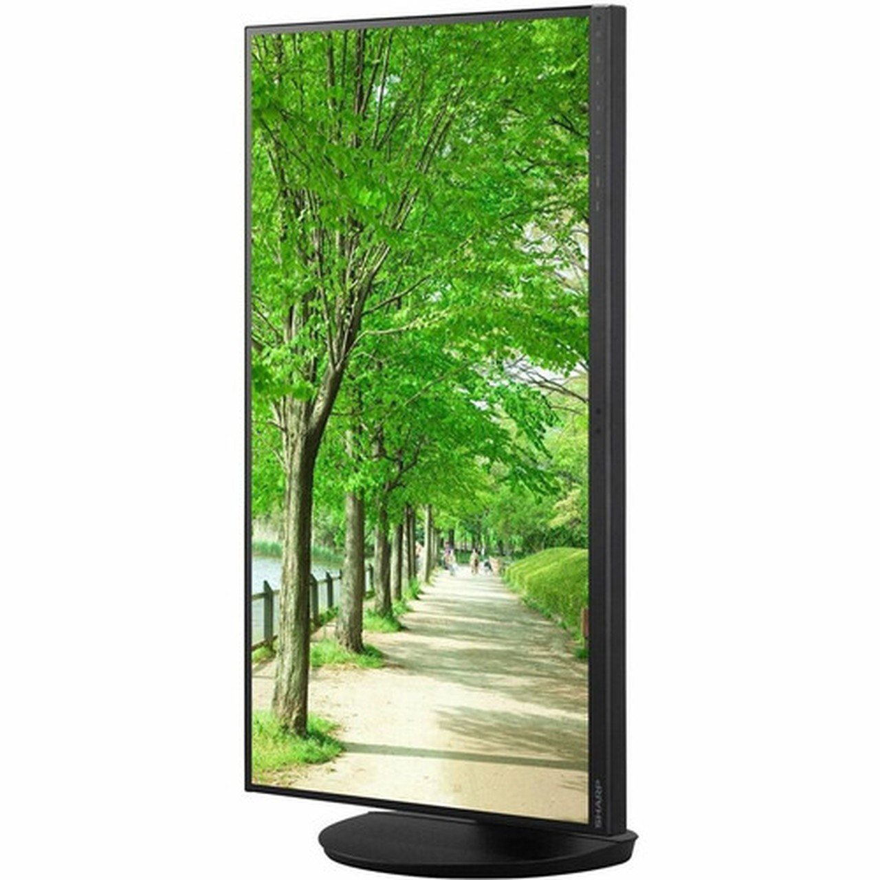 Sharp NEC Display MultiSync DD-EA272U 27 Class 4K UHD LED Monitor - 169 - 27 Viewable - In-plane Switching IPS Technology - LED - DD-EA272U