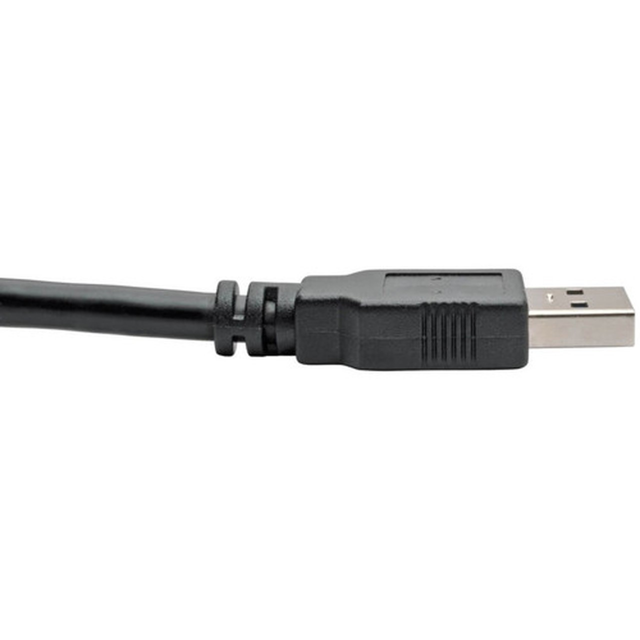 Tripp_Lite_USB_30_SuperSpeed_AA_Cable_MM_Black_6_ft_-_6_ft_USB_Data_Transfer_Cable_for_Notebook_Tablet_Chromebook_-_First_1_x_U320-006-BK