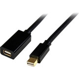 StarTech.com 3 ft Mini DisplayPort 1.2 Video Extension Cable M/F - Mini DisplayPort 4k - DisplayPort for Audio/Video Device (MDPEXT3)