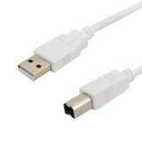 6ft USB 2.0 A Male to B Male Hi-Speed Cable - White (FN-USB-AB1-06)