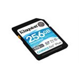 Kingston 256 GB Class 10/UHS-I (U3) V30 microSDXC - 170 MB/s Read - 90 MB/s Write (Fleet Network)