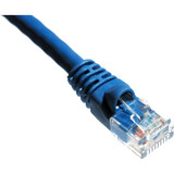 Axiom Cat.5e UTP Network Cable - 1 ft Category 5e Network Cable for Network Device - First End: 1 x Male Network - Second End: 1 x - - (C5EMB-B1-AX)