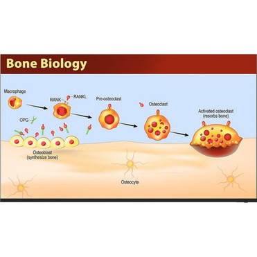Sharp 4PB86EJ2U 86 Professional Display - 856 LCD - High Dynamic Range HDR - 16 Hours 7 Days Operation - 3840 x 2160 - 169 - - 4PB86EJ2U