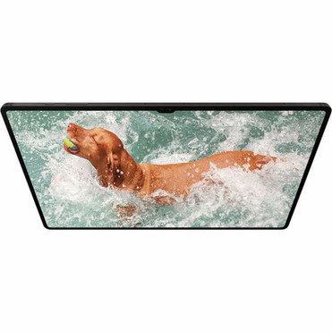 Samsung Galaxy Tab S9 SM-X810 Rugged Tablet - 124 WQXGA - Octa-core 336 GHz 280 GHz 2 GHz - 12 GB RAM - 512 GB Storage - - 8 2 SM-X810NZAEXAC