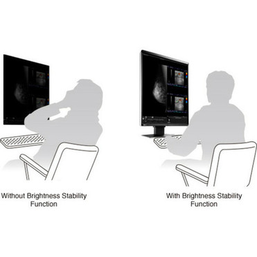 EIZO RadiForce RX560 QXGA LCD Monitor - 43 - Black - 213 Viewable - LED Backlight - 2048 x 2560 - 107 Billion Colors - 1100 - 12 - RX560-BK