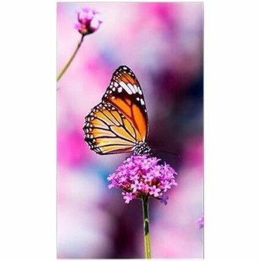 Sharp 55 Ultra-Narrow Bezel Professional-Grade Display - 55 1397 mm LCD - Super In-plane Switching S-IPS Technology - 24 Hours7 UN552VS