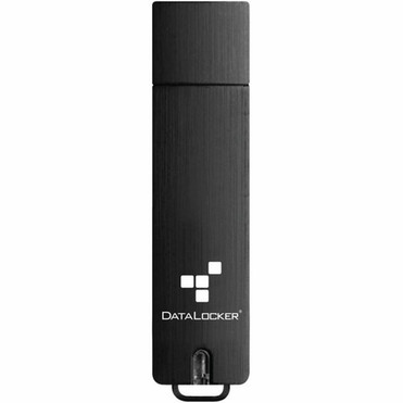 DataLocker Sentry 5 64GB USB 32 Gen 1 Type A Flash Drive - 64 GB - USB 32 Gen 1 Type A - 260 MBs Read Speed - 190 MBs Write - S5-064-FE-M