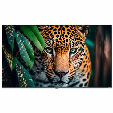 Newline STV-7524 Digital Signage Display - 75 1905 mm LCD - High Dynamic Range HDR - 16 Hours 7 Days Operation Cortex A55 - 2 GB STV-7524