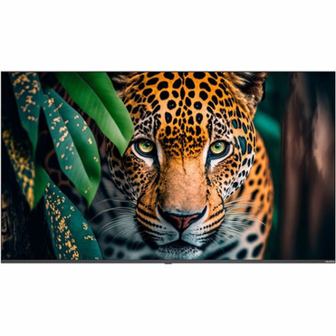 Newline STV-6524 Digital Signage Display - 65 1651 mm LCD - High Dynamic Range HDR - 16 Hours 7 Days Operation Cortex A55 - 2 GB STV-6524