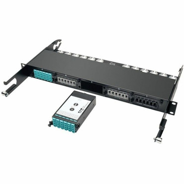 Tripp Lite 24-Fiber Patch Panel MTP/MPO to x12 LC 10Gb Breakout Cassette - 1 x MTP/MPO, 12 x LC - 13 Port(s) - 13 x RJ-11 - 12 x - (Fleet Network)