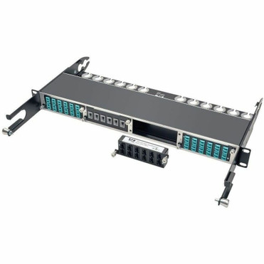 Tripp Lite 100Gb / 120Gb Pass-Through Cassette 12 24-Fiber MTP / MPO - 24 x MTP - 24 Port(s) - 24 x RJ-11 - 24 x MT Port(s) - Black (Fleet Network)