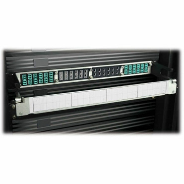 Tripp Lite 100Gb / 120Gb Pass-Through Cassette 12 24-Fiber MTP / MPO - 24 x MTP - 24 Port(s) - 24 x RJ-11 - 24 x MT Port(s) - Black (N484-12M24)