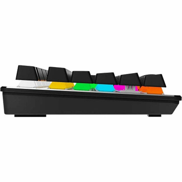 MSI FORGE GK300 Gaming Keyboard - Cable Connectivity - USB 2.0 Interface - RGB LED - Windows 10 - English (US) - PC - Mechanical - (Fleet Network)