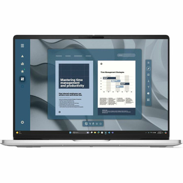 Dell Pro 16 PC16255 16" Copilot+ PC Notebook - Full HD Plus - 60 Hz - AMD Ryzen 5 220 - 8 GB - 256 GB SSD - English (US) Keyboard - - (Fleet Network)