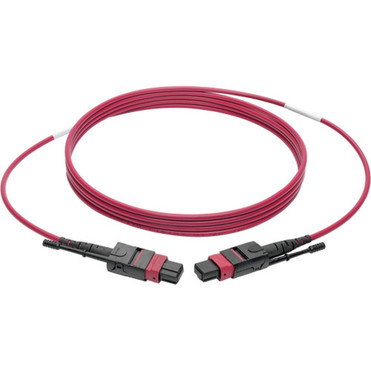 Tripp_Lite_N845-01M-12-MG_MTPMPO_Multimode_Patch_Cable_Magenta_1_m_-_Fiber_Optic_for_Network_Device_-_5_GBs_-_Patch_Cable_-_33_ft_N845-01M-12-MG