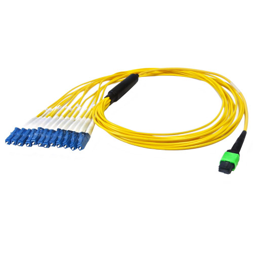 33ft - 10m 12-Fiber Singlemode MPO/APC Female (no guide pins) to 12x LC/UPC (not clipped), OFNP