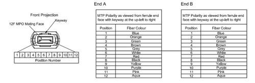 33ft - 10m 12-Fiber Multimode OM3 MPO Female (no guide pins) to MPO Female (no guide pins), Method A, OFNP