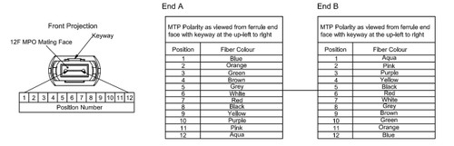 3ft - 1m 12-Fiber Multimode OM3 MPO Female (no guide pins) to MPO Female (no guide pins), Method B, OFNP