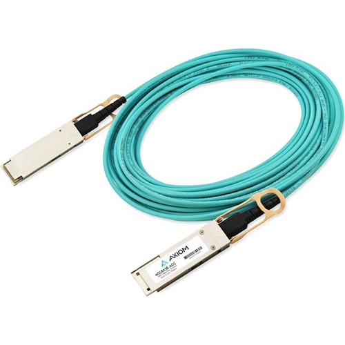 Axiom Fiber Optic Network Cable - 49.2 ft Fiber Optic Network Cable for Router, Switch, Network Device - First End: 1 x QSFP28 Network (Fleet Network)