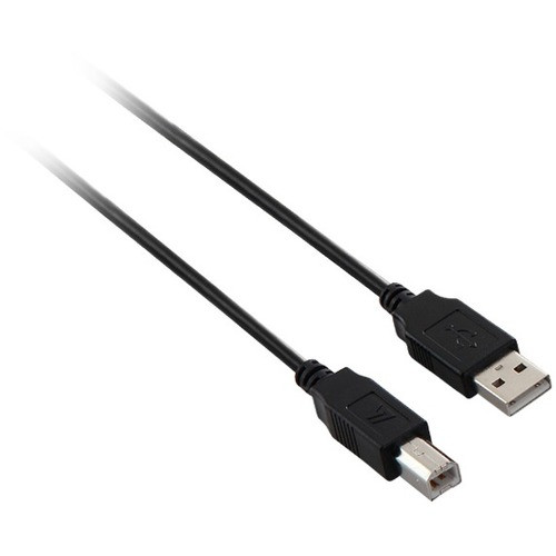 V7 Black USB Cable USB 2.0 A Male to USB 2.0 B Male 2m 6.6ft - 6.6 ft USB Data Transfer Cable for Digital Camera, Printer, Scanner, - (Fleet Network)