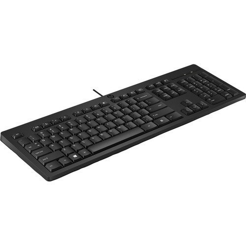 HP 125 Wired Keyboard - Cable Connectivity - USB Type A Interface - PC - Plunger Keyswitch - Black (Fleet Network)