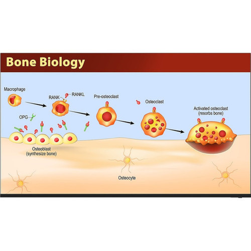 Sharp 4PB86EJ2U 86 Professional Display - 856 LCD - High Dynamic Range HDR - 16 Hours 7 Days Operation - 3840 x 2160 - 169 - - 4PB86EJ2U