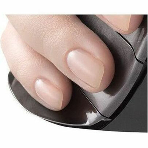 Evoluent VerticalMouse D Large Wireless - Laser - Wireless - USB Type A - Scroll Wheel - 6 Buttons - Large HandPalm Size - 1 x AA VMDLW