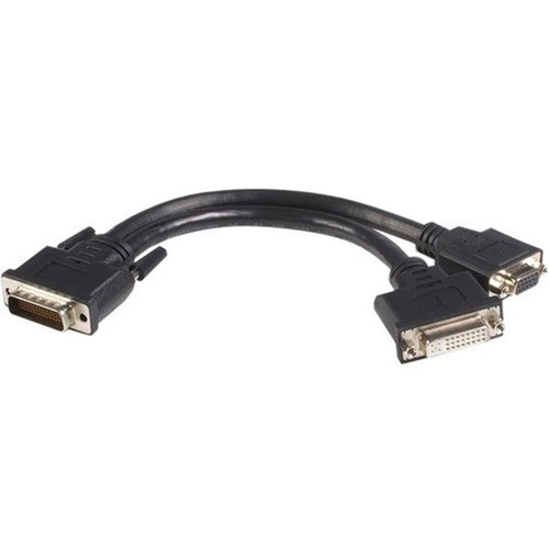 StarTechcom DMS-59 to DVI and VGA Y Cable - Female Video DMSDVIVGA1