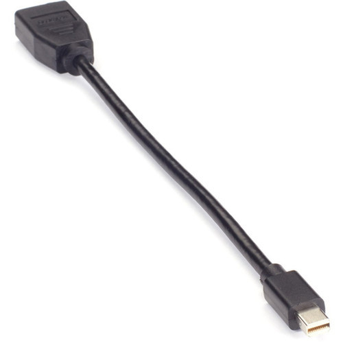 Black Box Mini DisplayPort-to-DisplayPort Adapter - DisplayPortMini DisplayPort AV Cable for Computer AudioVideo Device Console - VA-MDP12-DP12