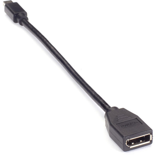 Black Box Mini DisplayPort-to-DisplayPort Adapter - DisplayPortMini DisplayPort AV Cable for Computer AudioVideo Device Console - VA-MDP12-DP12