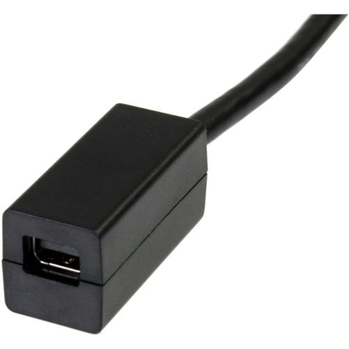 StarTechcom_6in_DisplayPort_to_Mini_DisplayPort_Cable_Adapter_-_DisplayPort_Male_Digital_AudioVideo_-_Mini_DisplayPort_Female_-_6_-_DP2MDPMF6IN