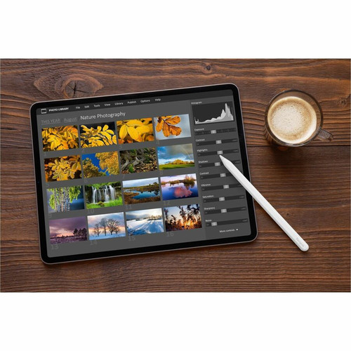 Targus Wireless Charging Active Stylus for iPad - Bluetooth - Active - Replaceable Stylus Tip - White - Tablet PC Device Supported (AMM181GL)