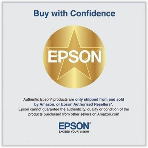 Epson UltraChrome XD2 T41W Original Standard Yield Inkjet Ink Cartridge - Cyan Pack - Inkjet - Standard Yield T41W220