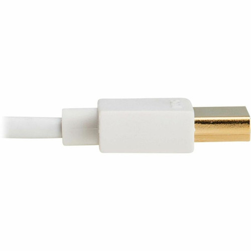 Tripp Lite series Slim P569-006-SLIM-W HDMI AV Cable - 6 ft 183 m HDMI AV Cable for AudioVideo Device Digital Signage Display P569-006-SLIM-W