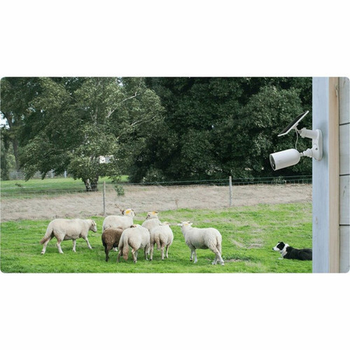 Tapo C425 KIT 4 Megapixel Outdoor 2K Network Camera - Color - 49 ft 1494 m InfraredColor Night Vision - H264 - 2560 x 1440 - 21 TAPO C425 KIT