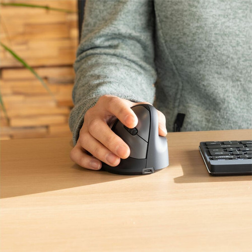 R-Go HE ergonomic mouse, large, right, wireless - large, right, wireless (RGOHELAWL)
