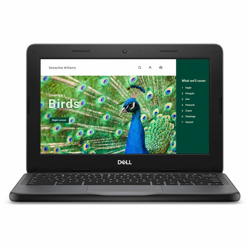 Dell Chromebook 3000 3120 11.6" Touchscreen Clamshell Chromebook - HD - Intel N-Series N100 - 4 GB - 64 GB Flash Memory - English (US) (Fleet Network)