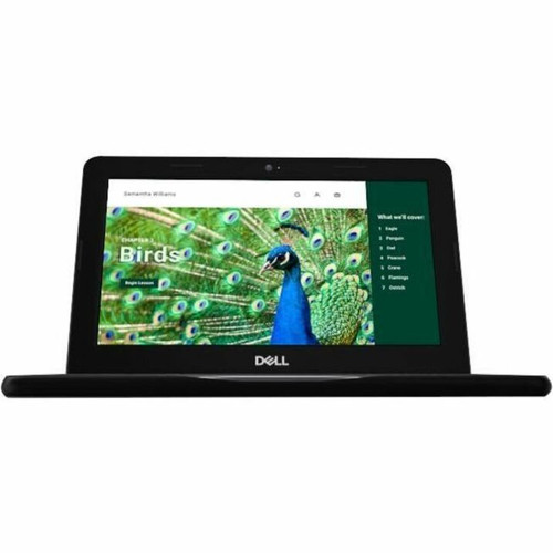 Dell Chromebook 3000 3120 11.6" Touchscreen Clamshell Chromebook - HD - Intel N-Series N100 - 4 GB - 64 GB Flash Memory - English (US) (Fleet Network)