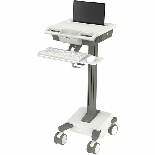 Ergotron Mosaic Laptop Cart Full-Featured Medical Cart - 43 lb (19504.47 g) Capacity - 4 Casters - 5" (127 mm) Caster Size - 15.6" (Fleet Network)
