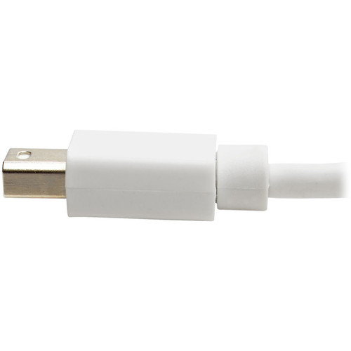 Tripp Lite series DisplayPort/Mini DisplayPort A/V Video Cable - 6" (152.40 mm) DisplayPort/Mini DisplayPort A/V Cable for Audio/Video (P139-06N-DP-V2B)