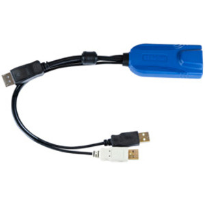 Raritan USB/DisplayPort KVM Cable - DisplayPort/USB KVM Cable for KVM Switch, Mouse - First End: 1 x DisplayPort Digital Audio/Video - (Fleet Network)