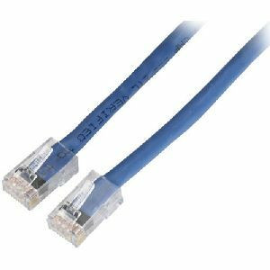 Black Box Cat. 6 UTP Backbone Cable 50 ft EYN906MS-0050