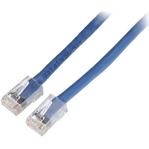 Black Box Cat. 6 UTP Backbone Cable - 35 ft Category 6 Network Cable - First End: 1 x RJ-45 - Male - Second End: 1 x RJ-45 - Male - (Fleet Network)