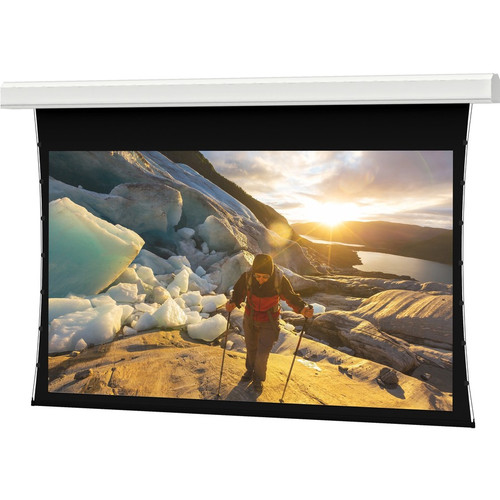 Da-Lite Tensioned Large Advantage Deluxe Electrol 240" Electric Projection Screen - 4:3 - Da-Mat - 144" Height x 192" Width - Ceiling (Fleet Network)