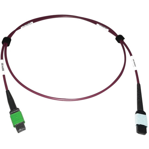 Tripp Lite series N846D-01M-16CMG Fiber Optic Patch Network Cable - 3.3 ft (1 m) Fiber Optic Network Cable for Network Device, Network (N846D-01M-16CMG)