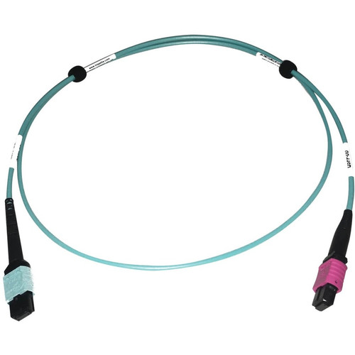 Tripp Lite series N846D-01M-24DAQ Fiber Optic Patch Network Cable - 3.3 ft (1 m) Fiber Optic Network Cable for Network Device, Network (N846D-01M-24DAQ)