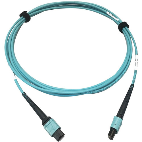 Tripp Lite series N846D-03M-24AAQ 400G Multimode 50/125 OM4 Fiber Optic Cable, Aqua, 3 m - 9.8 ft (3 m) Fiber Optic Network Cable for (N846D-03M-24AAQ)